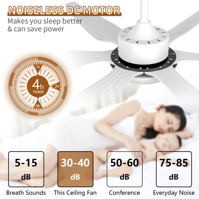Ceiling Fan54654