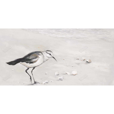 Semipalmated sandpiper - 15.75"x31.50" Desk mat