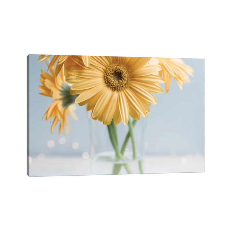 Chelsea Victoria - Wrapped Canvas Print, 20.32 cm H x 30.48 cm W