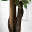 Charleston 160cm Faux Ficus Tree in Pot