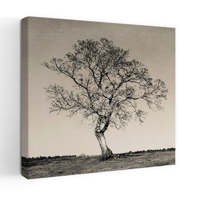 Arbre n ° 54 abstrait contemporain, H 18 po x l 18 po