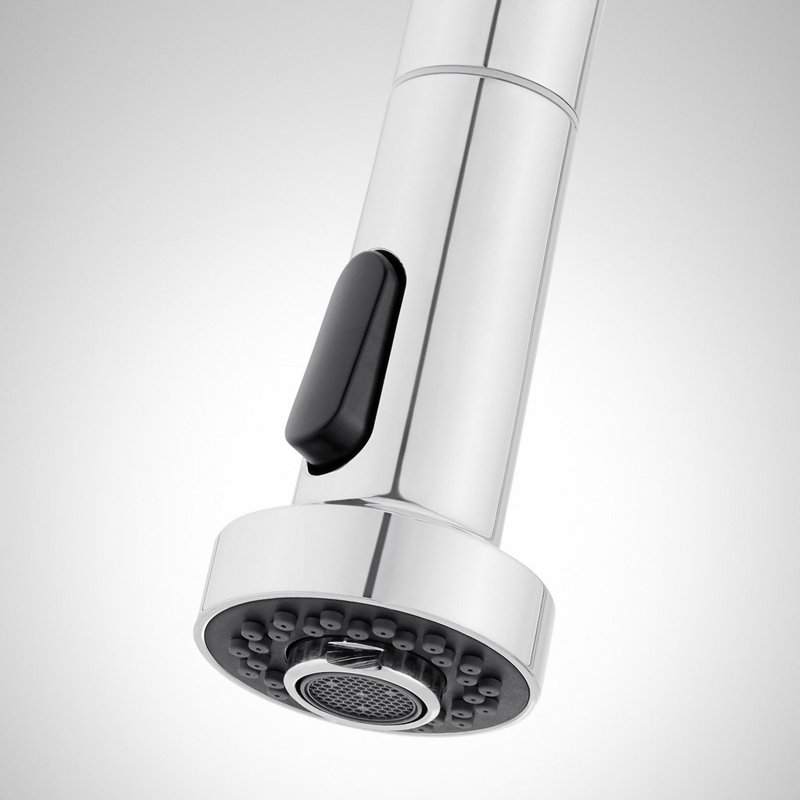 Ridgeway Pull-Down Kitchen Faucet with Deck Plate - Chrome, Chrome