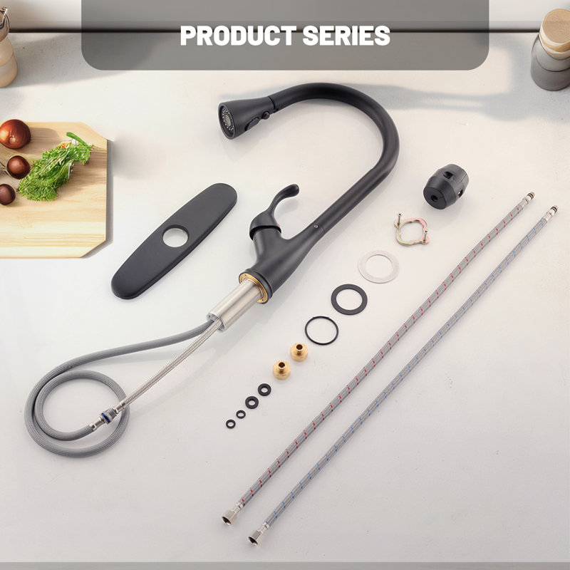 APPASO Pull Down Kitchen Faucet, Matte Black