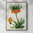AntiqueFloralFolioVII Framed Print - Solid Wood-161783665