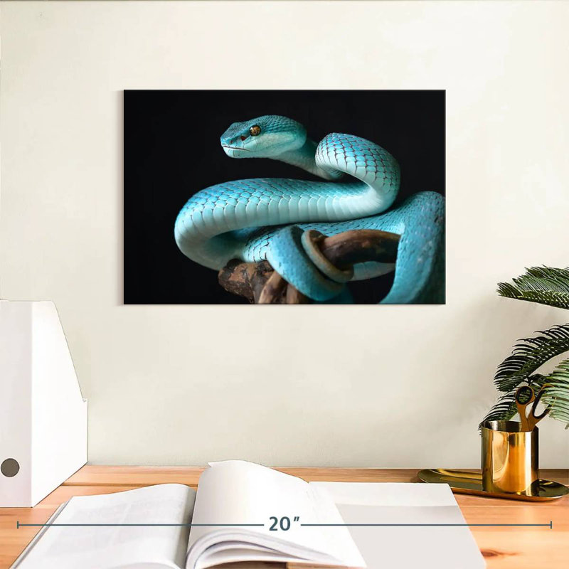 Brampt Blue Sunda Island Pitviper, 8" H x 12" W
