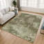 Tapis abstrait lavable à la machine intérieur / extérieur ACN2788-2059679754-2059679755