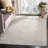Calidia Oriental Beige/Cream Area Rug-399671621