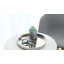 Metal Tray-127511191