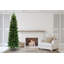 Lighted Artificial Pine Christmas Tree-285172006