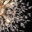 9-Lights Modern Chandelier Crystal, Gold Crystal Light Fixtures Ceiling Dandelion Firework Chandeliers