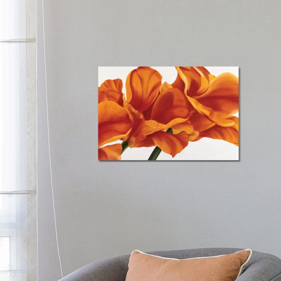 Fancy Flower II Print On Acrylic Glass
