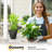 Kise Pot Planter-323524643-322665829