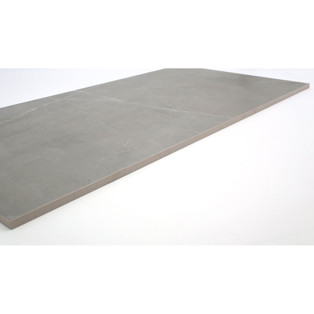 Sterlina Asphalt 24 in. x 24 in. Matte Porcelain Floor and Wall Tile (15.5 sq. ft./Case) Emser Tile 