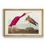 Scarlet ibis - reproduction d'art sur toile-1648441119-1648441104