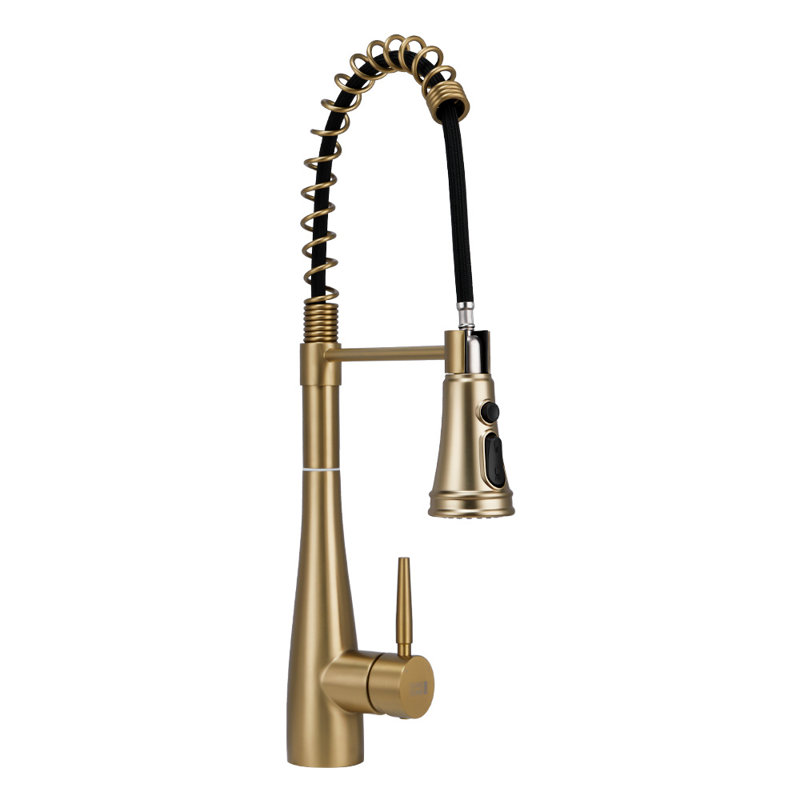 Belfry Kitchen Carmorn Pull Out Kitchen Faucet, Gold