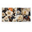 Medora - Ensemble de 2 art mural en verre acrylique-103937029