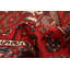 Tapis rouge Anadol 3 pi 3 po x 6 pi 4 po