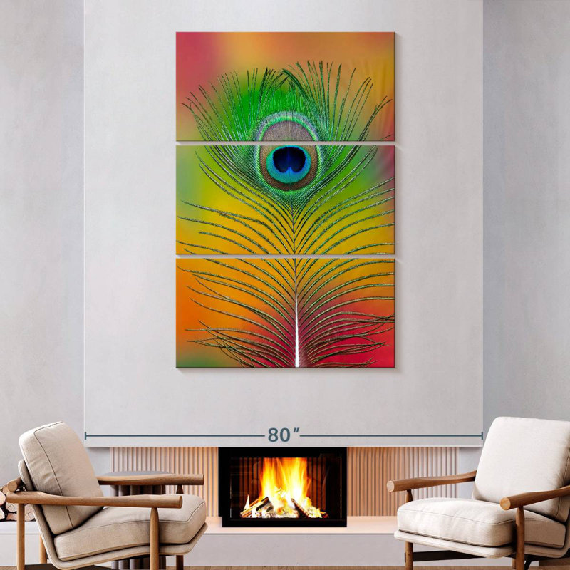 Plume de queue de paon mâle Kerner, H 74 po x l 48 po