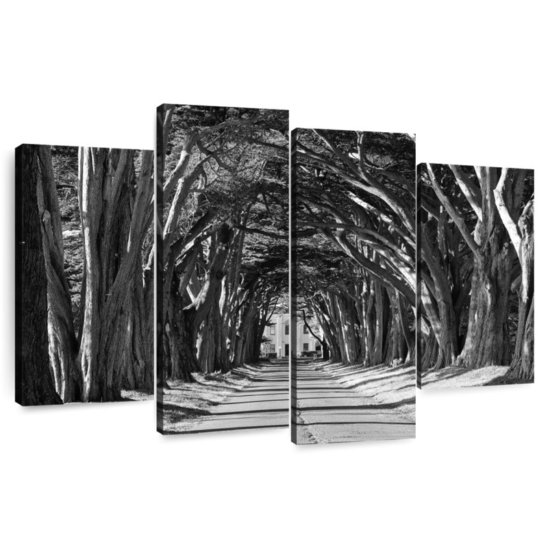 Harnek Driveway Tree Canopy BW