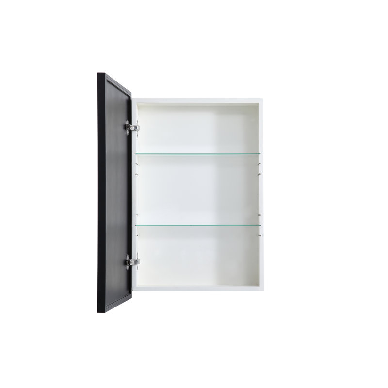 Armoire à pharmacie H 28 po à fixation en surface avec 2 tablettes réglables Clapp, Noir, H 28 po x l 20 po x P 5 po