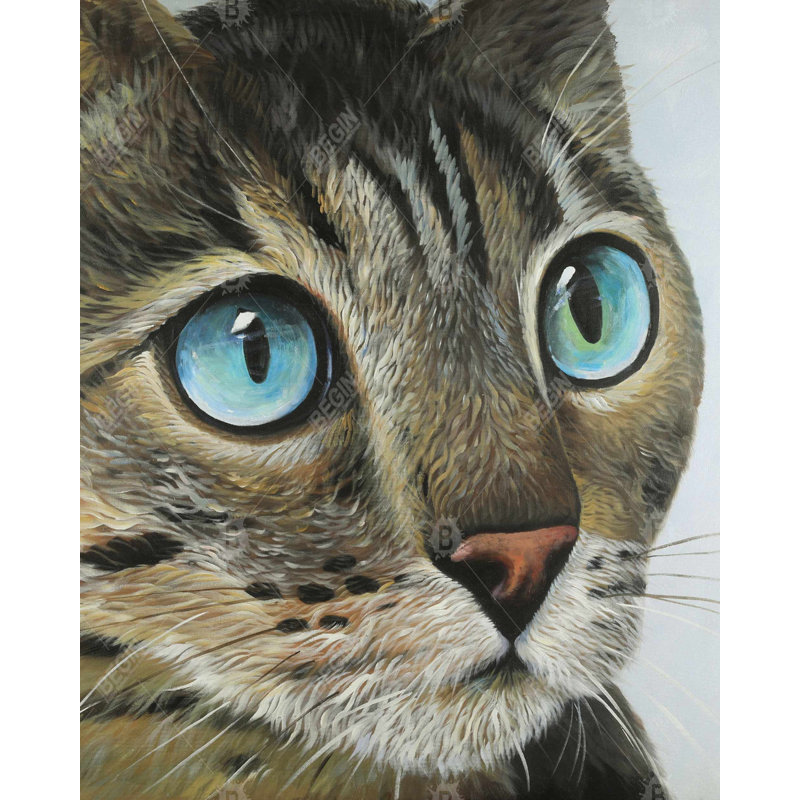 «Curious Cat Portrait» sur toile