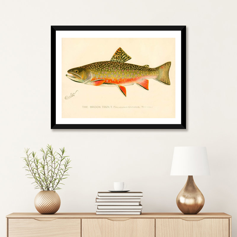 The Brook Trout - impression d'art graphique, H 24 po x l 32 po x P 1 po, Papier encadré noir
