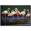 Flamants roses vibrantes, safari et jungle-93629610-93629611