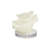 Rindge Polystone Small Textured Coral Decorative White Sculpture with Clear Acrylic Base