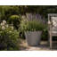Robin Round Bucket Planter, Contemporary Concrete Effect, Round Indoor and Outdoor Plant Pot with Drainage Hole-1586262049-1586262077