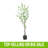 59.1"H ARTIFICIAL DISC LEAF TREE