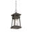 Signe Outdoor Hanging Lantern