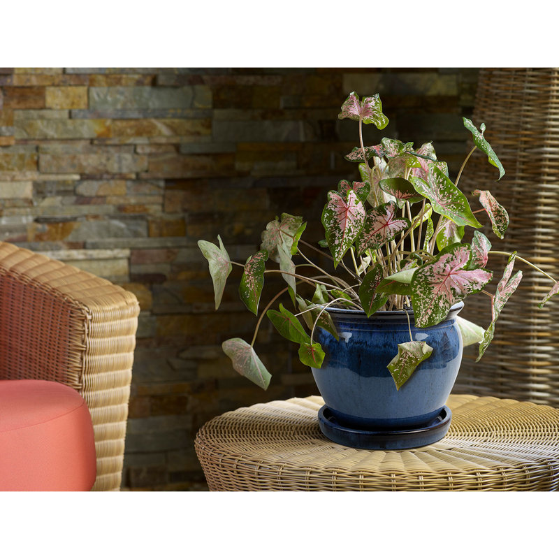 Ensemble de pots à fleurs en céramique 