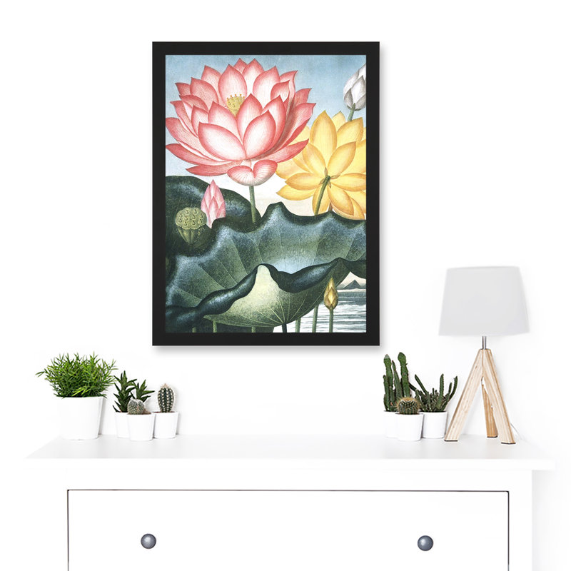 Flowers Lotus Sacred Egyptian Bean - Single Picture Frame Print