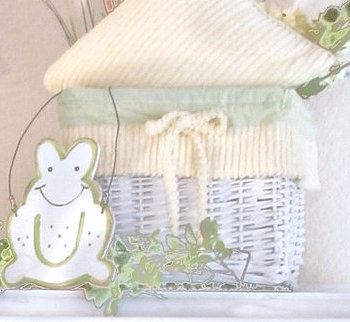 Brandee Danielle Froggy Fabric Decorative Basket