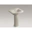 Archer 24" Rectangular Pedestal Bathroom Sink with Widespread Faucet Holes-2004881091-2011050639
