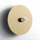 Hooke Single Light Steel Dimmable Flush Mounted Sconce