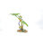 Lotus Leaf with Red-Eyed Tree Frog