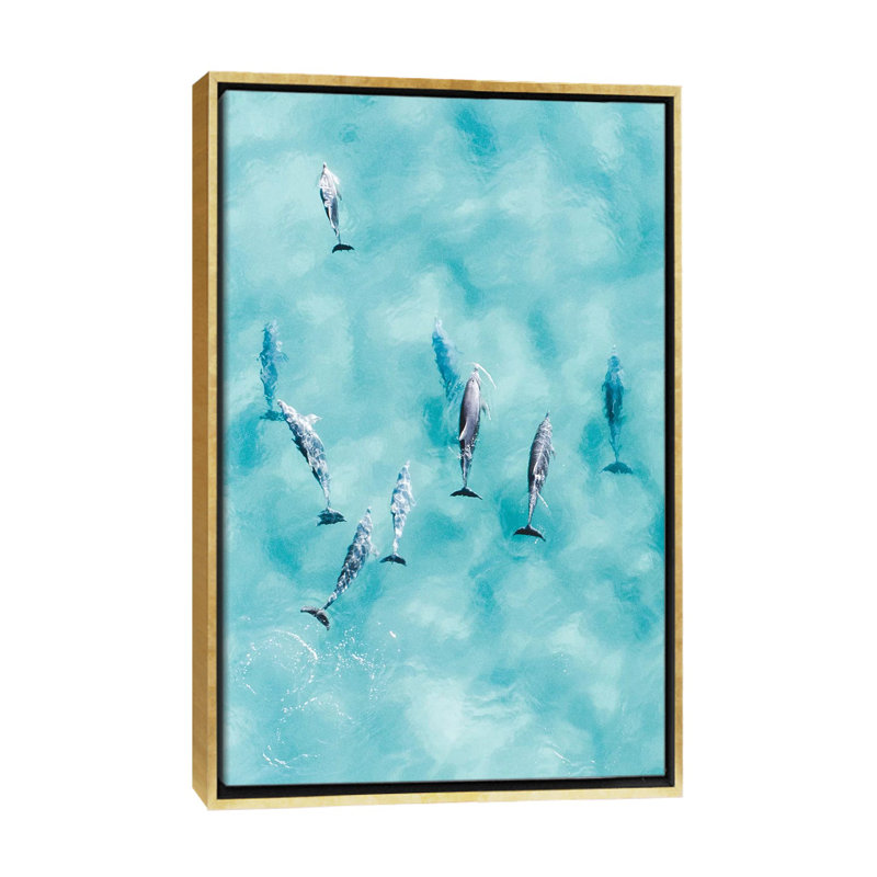 Reproduction d’art, "Cruisy Dolphins III" par Jaxon Roberts, H 26 po x l 18 po x 1,5 po, Toile encadrée d'or, Pas de tapis