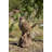 Motion Activated Singing Troglodyte Standing on Stump