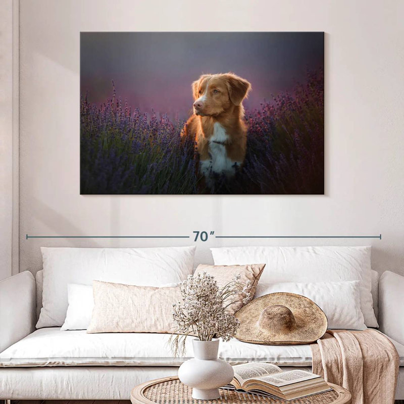 Golden retriever dans un champ de lavande, H 32 po x l 48 po