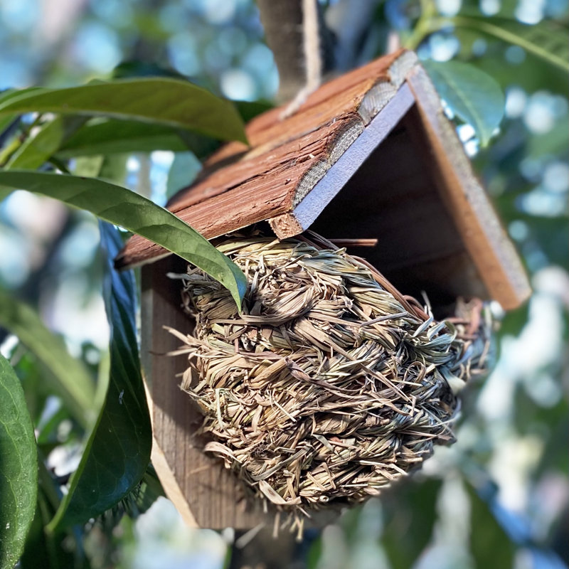 Woven Martin Hanging Bird House with Roof