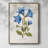 Botanical II Framed Print - Solid Wood-802558089