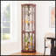 Vitrine d'angle vitrée d'angle-1428990359