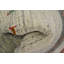 Tapis de couloir petits animaux Gabbeh 2 x 5