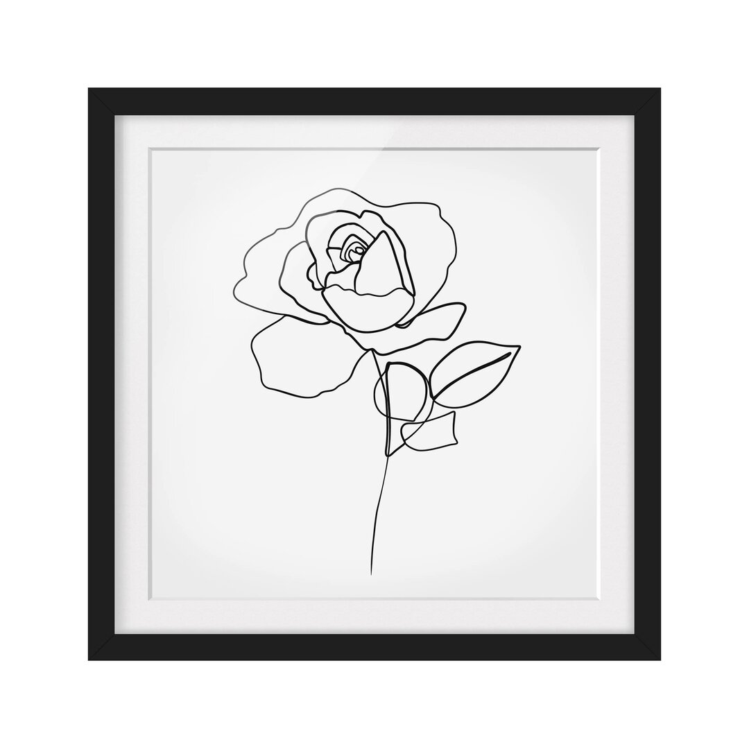 Gerahmter Grafikdruck Line Art Rose