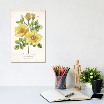 Botanical IV 1 Piece Wrapped Canvas Painting