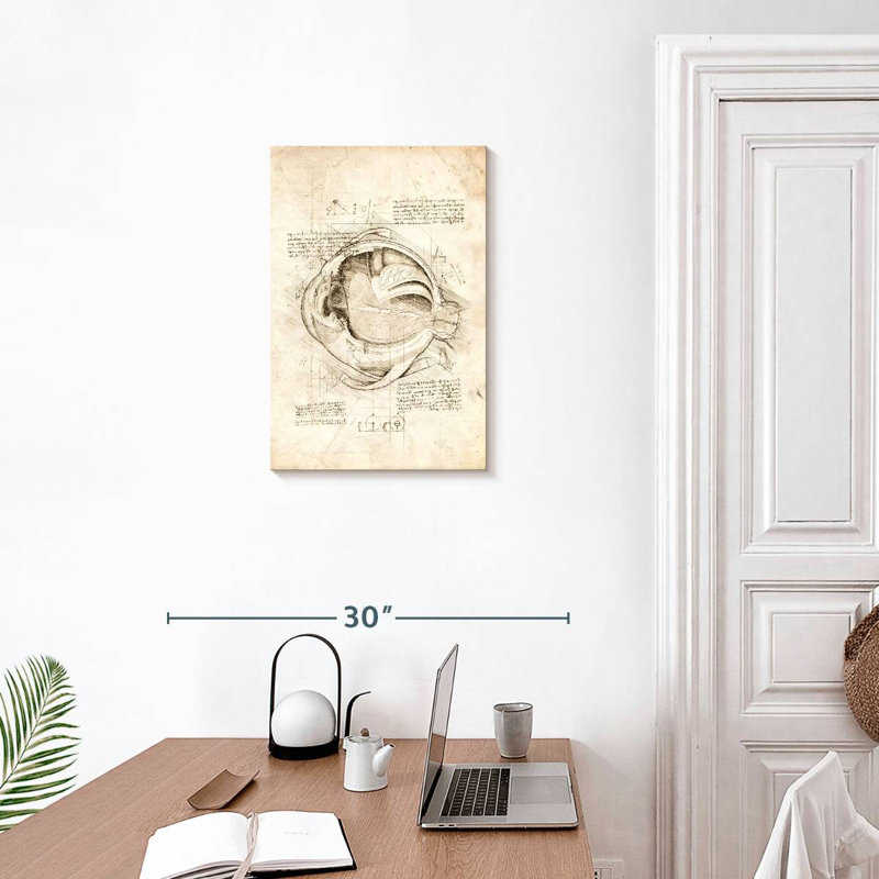 Keiri Human Eye Anatomy, 24" H x 16" W