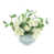 Blanc