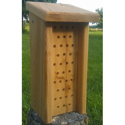 Bourdon Hulda 13 po x 6 po x 6 po