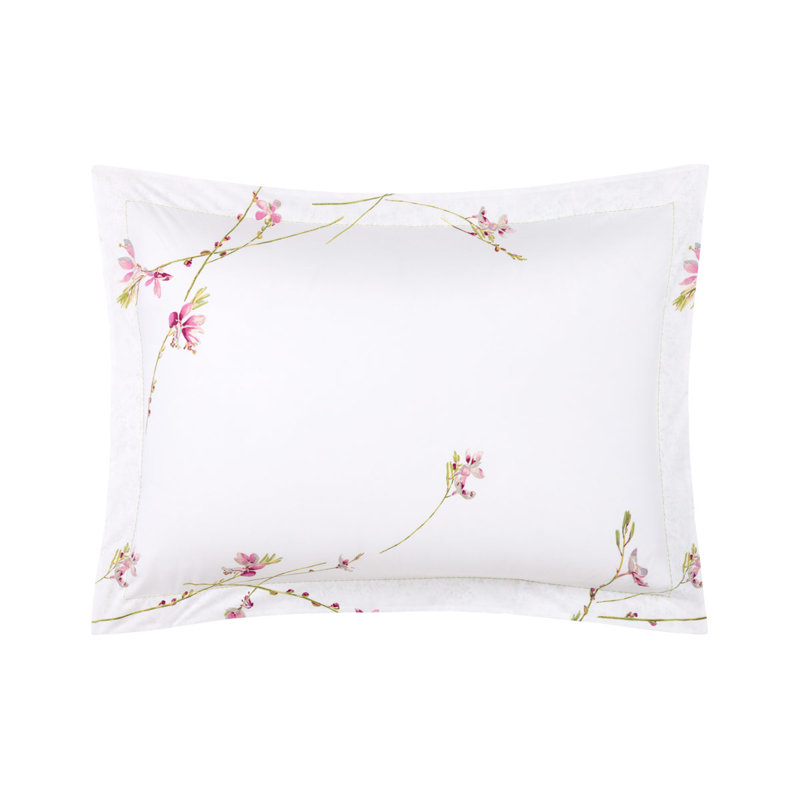 Gaura Sham, King Sham
